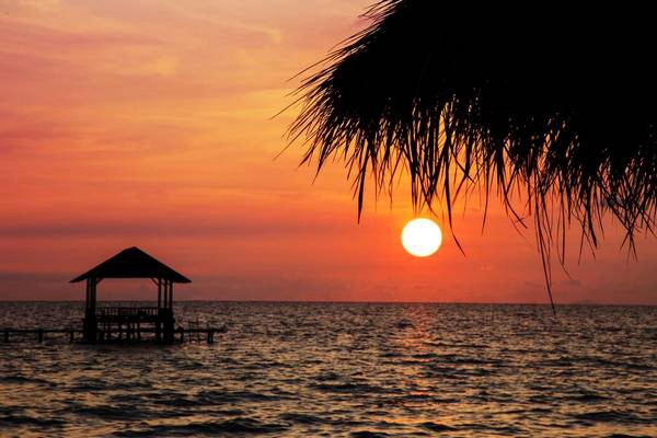 Ảnh: Mango Beach Resort Ảnh: Mango Beach Resort