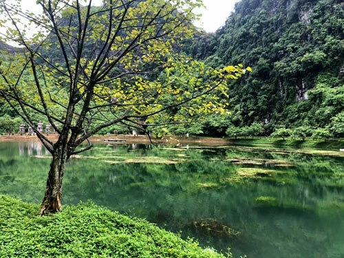 Cách đó không xa là "Tuyệt tình cốc", một trong những điểm "sống ảo" được giới trẻ yêu thích.