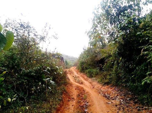 Đoạn đường đến được đồn biên phòng Pha Luông rất dễ trơn trượt nếu đi vào ngày mưa. Ảnh: Nguyễn Đắc Hòa. 48h-kham-pha-noc-nha-moc-chau-ivivu-2