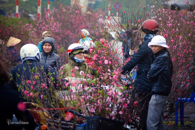 Chợ hoa Quảng Bá  Đây là một trong những chợ hoa đầu mối lớn nhất Hà Nội, thường họp từ khoảng 3h – 7h sáng là vãn. Những ngày cận Tết Nguyên đán, khu chợ ven đường Âu Cơ (Tây Hồ) tấp nập cả ngày lẫn đêm. Chợ không chỉ hút khách là người dân nội thành mà còn cả những người thuộc các tỉnh lân cận như Hải Phòng, Hưng Yên, Quảng Ninh... Địa điểm này đôi lúc còn bán cả những cành hoa lê, mơ, mận như một lựa chọn thay thế cho đào. Ảnh: Cao Anh Tuấn.