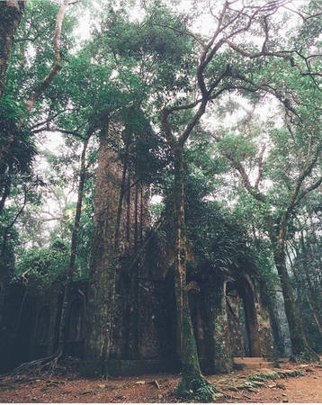 @tiemanbinhdan @tiemanbinhdan