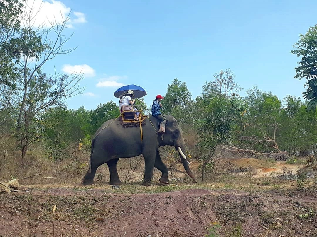  5-dia-diem-check-in-khi-den-buon-ma-thuot-dip-tet-nguyen-dan-ivivu-16Buôn Đôn: Một địa điểm quen thuộc của người dân Tây Nguyên, Buôn Đôn níu chân du khách nhờ sự mộc mạc, chân thật đậm chất núi rừng. Đến với Buôn Đôn, bạn sẽ được nhìn cận cảnh những chú voi to lớn ngạo nghễ dạo bước theo sự chỉ đạo của quản tượng. Ngoài ra, tại đây còn có những chuyến tham quan bằng thuyền độc mộc để ngắm nhìn con sông ngược dòng Sêrêpôk huyền thoại. Ảnh: @haphuong0072004, @huynhlevophi, @sjnikie, @danangdiary.