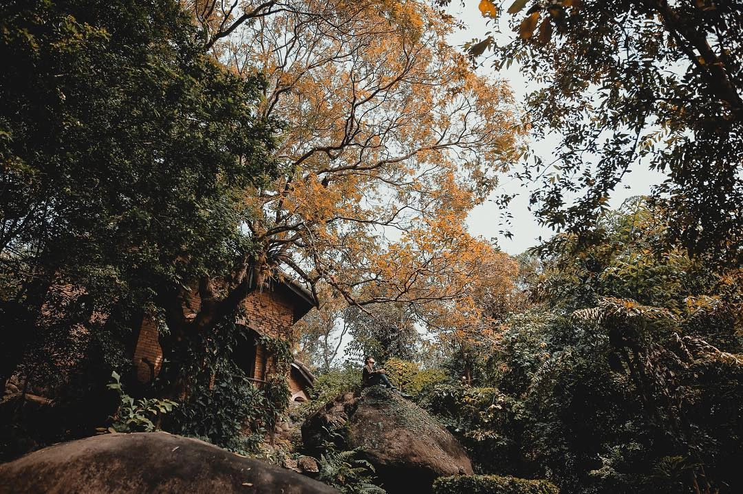 Ảnh: @vietnguyenvisual Ảnh: @vietnguyenvisual
