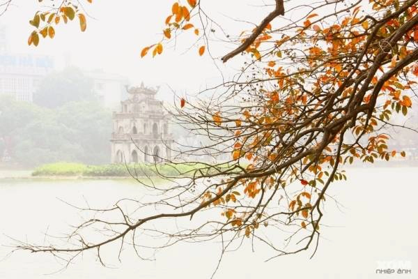 Ảnh: Xóm nhiếp ảnh Ảnh: Xóm nhiếp ảnh