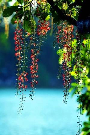 Ảnh: Giaoduc Ảnh: Giaoduc