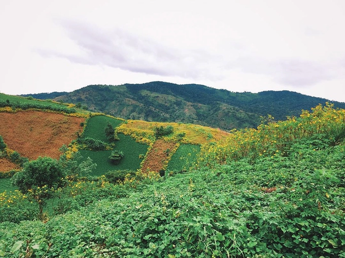Chư Đăng Ya  Núi lửa Chư Đăng Ya cách trung tâm thành phố Pleiku khoảng 30 km về hướng đông bắc. Ngọn núi lửa đã ngủ yên hàng triệu năm này còn thu hút đông đảo người yêu thích thiên nhiên bởi nét hoang sơ của rừng núi. Ảnh: @dongtranthe.