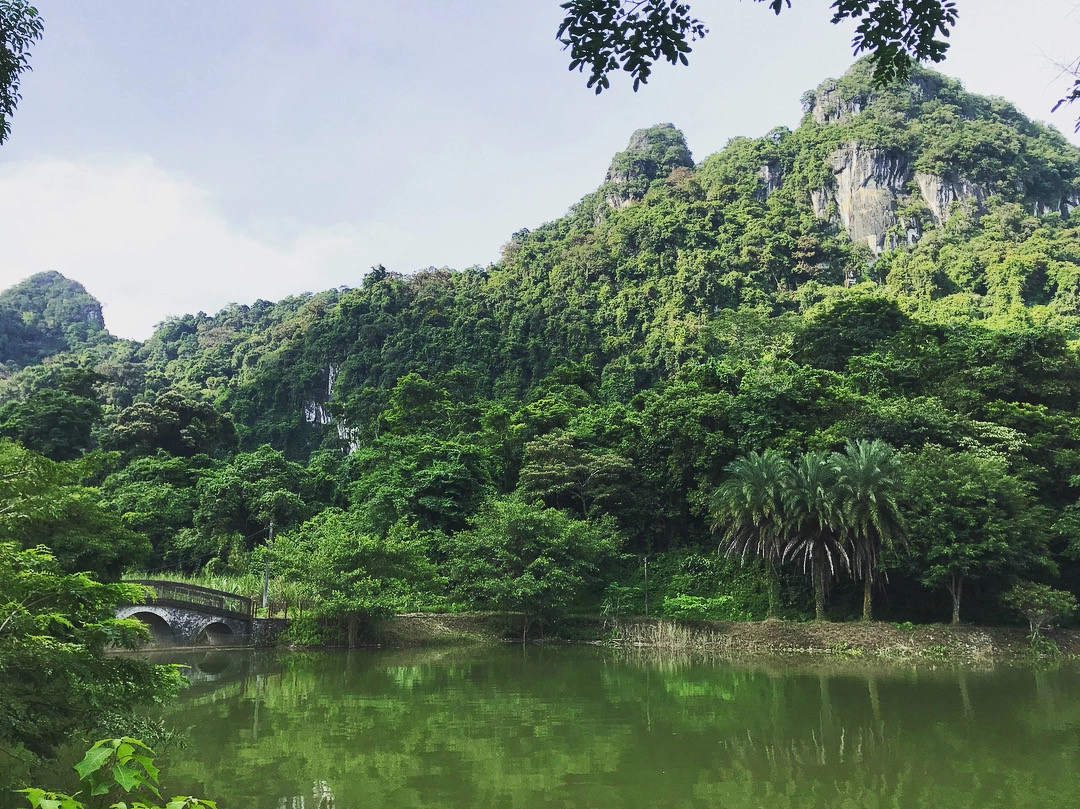 Rừng Cúc Phương được ví như một bảo tàng thiên nhiên rộng lớn với hệ động, thực vật phong phú bậc nhất cả nước. Những điểm tham quan đặc sắc khác mà bạn nên ghé qua là động Người xưa - cây Đăng cổ thụ, cây Chò ngàn năm - động Cung Sơn, cây Sấu cổ thụ - bản Mường, trung tâm cứu hộ thú linh trưởng, đỉnh Mây Bạc hay hồ Yên Quang - động Phò Mã… Ảnh: @skarthik53, @fuwwrr.