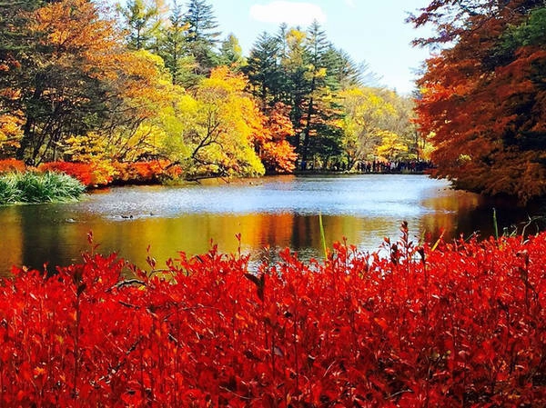 Suối nước nóng Jozankei ở Hokkaido đầy sắc màu Suối nước nóng Jozankei ở Hokkaido đầy sắc màu