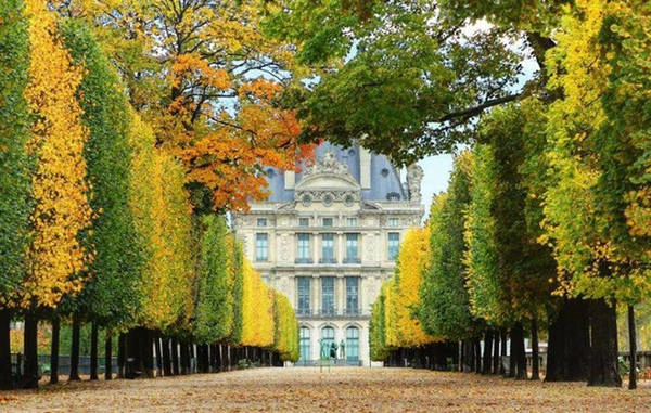 Khu vườn Tuileries với những bức tượng trang trí tinh tế, là nơi lý tưởng để tận hưởng mùa thu. Khu vườn Tuileries với những bức tượng trang trí tinh tế, là nơi lý tưởng để tận hưởng mùa thu.