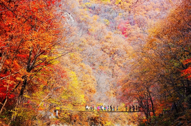 Một cảnh sắc thu đẹp ở ngay tại Seoul - r2rong Một cảnh sắc thu đẹp ở ngay tại Seoul - r2rong