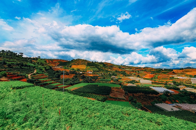Đà Lạt Đà Lạt luôn nằm trong danh sách những điểm dừng chân quá tải vào các kỳ nghỉ. Phố núi thuộc tỉnh Lâm Đồng, hút khách nhờ vẻ đẹp của thiên nhiên hoang sơ và lãng mạn, ẩm thực phong phú. Từ các thành phố lớn, du khách dễ dàng di chuyển đến đây bằng máy bay hoặc xe khách. Tuy nhiên, vé bán ra luôn trong tình trạng "cháy". Đà Lạt Đà Lạt luôn nằm trong danh sách những điểm dừng chân quá tải vào các kỳ nghỉ. Phố núi thuộc tỉnh Lâm Đồng, hút khách nhờ vẻ đẹp của thiên nhiên hoang sơ và lãng mạn, ẩm thực phong phú. Từ các thành phố lớn, du khách dễ dàng di chuyển đến đây bằng máy bay hoặc xe khách. Tuy nhiên, vé bán ra luôn trong tình trạng "cháy".