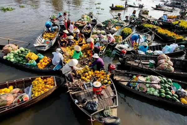 Những ngày Tết ở chợ nổi Cái Răng vô cùng nhộn nhịp và ngập tràn không khí xuân. Những ngày Tết ở chợ nổi Cái Răng vô cùng nhộn nhịp và ngập tràn không khí xuân.