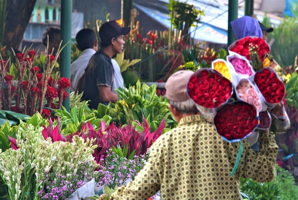 Chợ Pasar Rawa Belong là trung tâm buôn bán các loại hoa và cây ở Jakarta. Ảnh: siswanto_p/ flickr.com Chợ Pasar Rawa Belong là trung tâm buôn bán các loại hoa và cây ở Jakarta. Ảnh: siswanto_p/ flickr.com