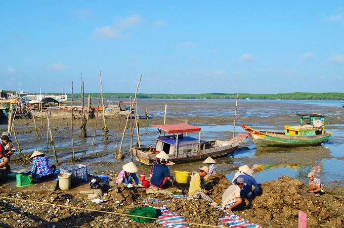 Đảo Thạnh An, Cần Giờ Tuy thuộc TP HCM, đảo Thạnh An thuộc huyện Cần Giờ cách trung tâm thành phố gần 70 km, khoảng 2 tiếng đi xe máy. Nếu bạn đang tìm địa điểm đi về trong ngày, gần TP HCM mà có khung cảnh thiên nhiên thoáng đãng thì có thể tới xã đảo nhỏ yên bình này. Ảnh: Má Lúm. Đảo Thạnh An, Cần Giờ Tuy thuộc TP HCM, đảo Thạnh An thuộc huyện Cần Giờ cách trung tâm thành phố gần 70 km, khoảng 2 tiếng đi xe máy. Nếu bạn đang tìm địa điểm đi về trong ngày, gần TP HCM mà có khung cảnh thiên nhiên thoáng đãng thì có thể tới xã đảo nhỏ yên bình này. Ảnh: Má Lúm.