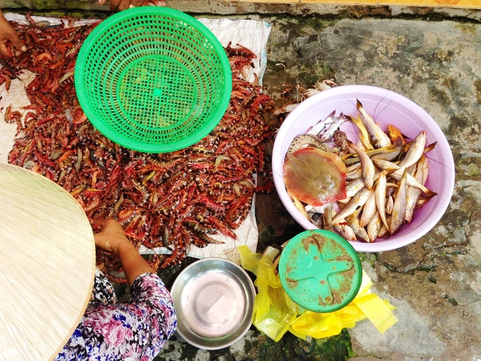 Hòn đảo này không có nhiều cảnh đẹp hay hoạt động giải trí, đa phần khách tới đây thường khám phá cuộc sống của người địa phương. Nếu ngắm cảnh, chụp ảnh, bạn có thể đi dọc theo đường đê, bãi đá. Và đừng quên thưởng thức những món hải sản như ốc, nghêu, lẩu cá... với giá cả phải chăng. Các chuyến tàu từ bến Cần Thạnh ra đảo Thạnh An lúc 6h30, 9h, 10h30, 12h, 14h, 17h. Các chuyến tàu về lại đất liền lúc 6h30, 7h30, 10h30, 12h, 14h, 17h. Giá vé là 10.000 đồng/ lượt. Tuy nhiên, giờ tàu có thể thay đổi tùy vào tình hình thời tiết, thủy triều... Ảnh: Má Lúm. Hòn đảo này không có nhiều cảnh đẹp hay hoạt động giải trí, đa phần khách tới đây thường khám phá cuộc sống của người địa phương. Nếu ngắm cảnh, chụp ảnh, bạn có thể đi dọc theo đường đê, bãi đá. Và đừng quên thưởng thức những món hải sản như ốc, nghêu, lẩu cá... với giá cả phải chăng. Các chuyến tàu từ bến Cần Thạnh ra đảo Thạnh An lúc 6h30, 9h, 10h30, 12h, 14h, 17h. Các chuyến tàu về lại đất liền lúc 6h30, 7h30, 10h30, 12h, 14h, 17h. Giá vé là 10.000 đồng/ lượt. Tuy nhiên, giờ tàu có thể thay đổi tùy vào tình hình thời tiết, thủy triều... Ảnh: Má Lúm.