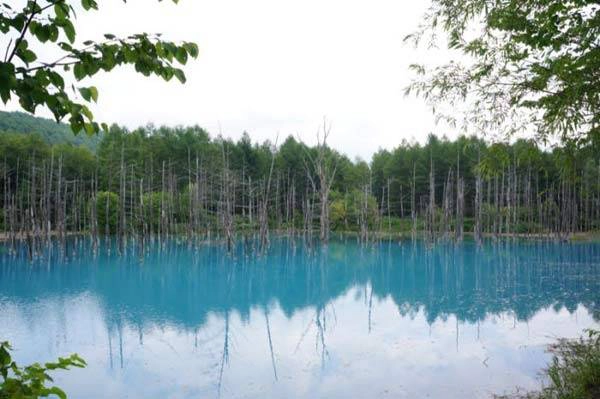 Hồ xanh, thị trấn Biei, Hokkaido