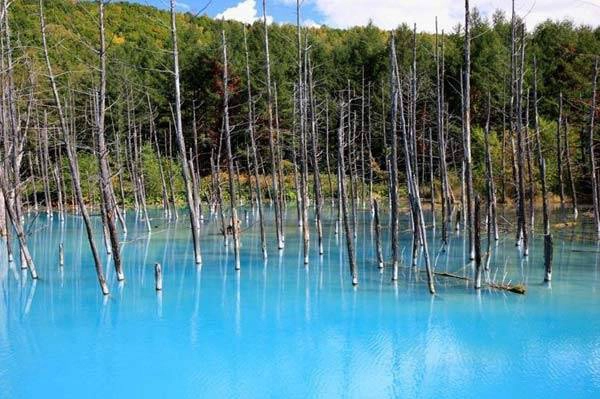 Hồ xanh, thị trấn Biei, Hokkaido