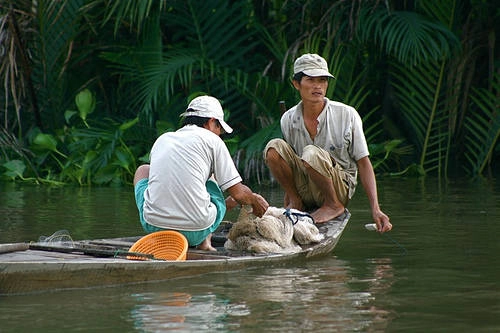 Du lịch Việt Nam ấn tượng du khách nước ngoài