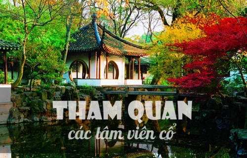 Khu vườn như bước ra từ phim cổ trang Trung Quốc.