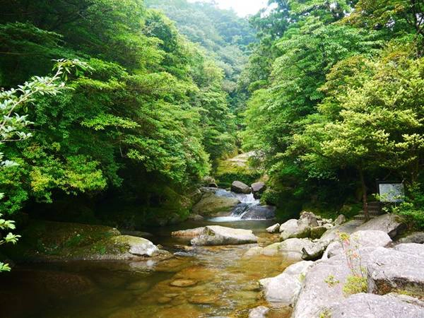 1. Yakushima: Hòn đảo này là điểm du lịch thiên nhiên nổi tiếng nhất ở Nhật Bản, thu hút rất đông du khách đến tham quan mỗi năm. Ảnh: Chentaiji. 1. Yakushima: Hòn đảo này là điểm du lịch thiên nhiên nổi tiếng nhất ở Nhật Bản, thu hút rất đông du khách đến tham quan mỗi năm. Ảnh: Chentaiji.