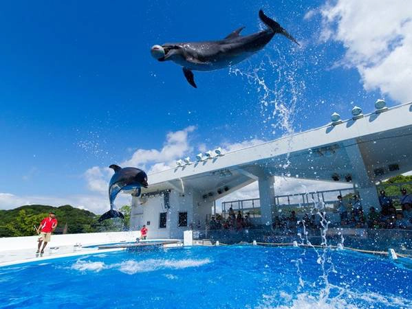 Có rất nhiều resort tại Kujukushima, cung cấp cho khách du lịch các hoạt động thú vị như xem xiếc cá heo, tham quan thủy cung hay theo tour đi khám phá toàn bộ quần đảo. Ảnh: Iepcollege. Có rất nhiều resort tại Kujukushima, cung cấp cho khách du lịch các hoạt động thú vị như xem xiếc cá heo, tham quan thủy cung hay theo tour đi khám phá toàn bộ quần đảo. Ảnh: Iepcollege.