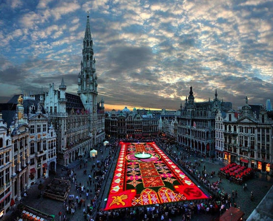 Thảm hoa tại lễ hội hoa ở Brussels năm 2012 - Ảnh: wp Thảm hoa tại lễ hội hoa ở Brussels năm 2012 - Ảnh: wp