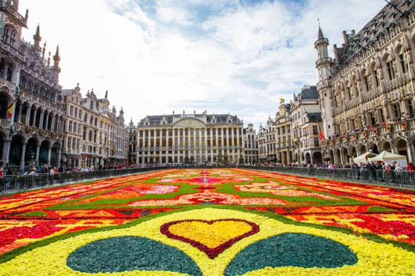 Thảm hoa tại lễ hội hoa ở Brussels năm 2014 - Ảnh:flickr Thảm hoa tại lễ hội hoa ở Brussels năm 2014 - Ảnh:flickr