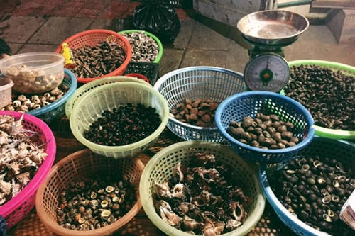 Ốc xào dừa là một trong những món nên thử ở đây.