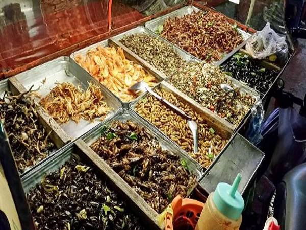 5-mon-dac-san-kinh-di-khien-team-an-ca-the-gioi-cung-phai-chun-buoc-o-thai-lan-ivivu-6