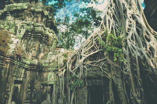 Đền Ta Prohm còn được gọi là Lăng mộ Hoàng hậu, nơi những cây cổ thụ vĩ đại bao phủ nhiều công trình, tạo nên những hình thù cổ quái và hấp dẫn. Đền Ta Prohm còn được gọi là Lăng mộ Hoàng hậu, nơi những cây cổ thụ vĩ đại bao phủ nhiều công trình, tạo nên những hình thù cổ quái và hấp dẫn.