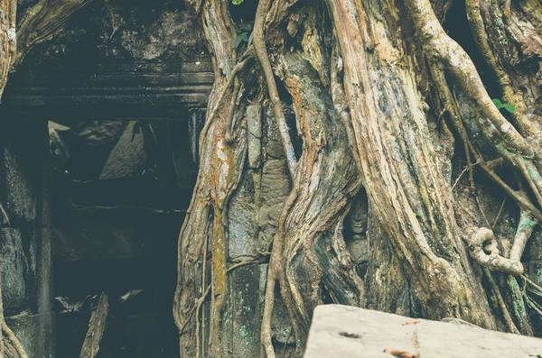 Bức tượng Phật mỉm cười nằm trong gốc cây hàng nghìn năm tuổi. Tại Angkor, người ta không thắc mắc về những điều kì lạ vì chẳng ai có thể có câu trả lời. Bức tượng Phật mỉm cười nằm trong gốc cây hàng nghìn năm tuổi. Tại Angkor, người ta không thắc mắc về những điều kì lạ vì chẳng ai có thể có câu trả lời. trả lời.