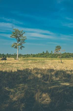 Nơi nghỉ chân phía trước đền Banteay Srei. Nơi nghỉ chân phía trước đền Banteay Srei.