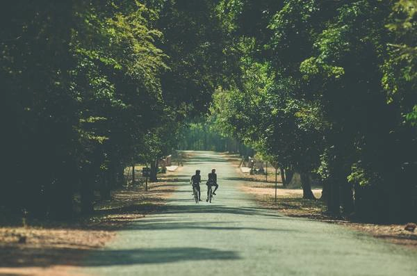 Con đường tới đền Ta Prohm đem lại cảm giác thanh thản và yên tĩnh. Con đường tới đền Ta Prohm đem lại cảm giác thanh thản và yên tĩnh.