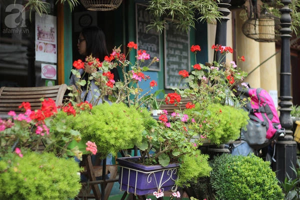 5-quan-cafe-rat-xinh-ma-view-tuyet-dep-nhat-dinh-nen-ghe-khi-den-sa-pa-ivivu-21