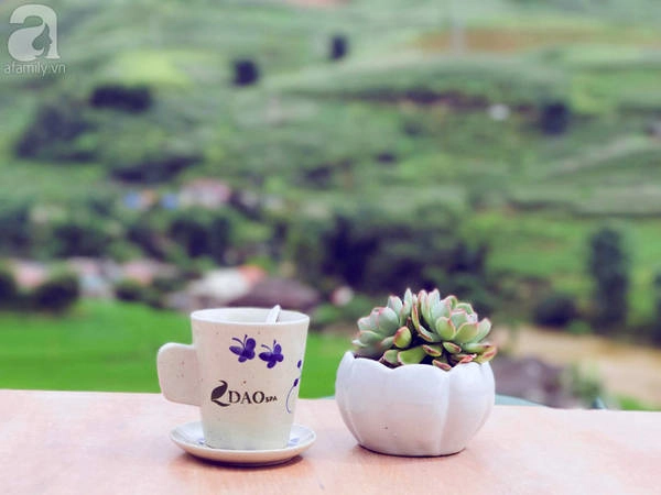 5-quan-cafe-rat-xinh-ma-view-tuyet-dep-nhat-dinh-nen-ghe-khi-den-sa-pa-ivivu-30