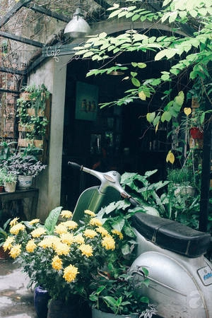 5-quan-cafe-trong-ngo-de-tim-tinh-lang-va-yen-binh-cho-nhung-ngay-cuoi-ha-ivivu-28