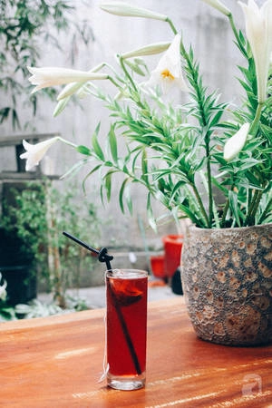 5-quan-cafe-trong-ngo-de-tim-tinh-lang-va-yen-binh-cho-nhung-ngay-cuoi-ha-ivivu-30