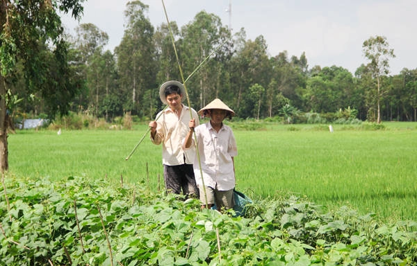 5-trai-nghiem-o-dong-thap-dip-giap-tet-cung-minh-luan-va-hung-thuan-ivivu-11