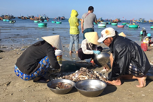 Du khách cũng có thể đến và tham gia vào phiên chợ nhộn nhịp này. Người yêu nhiếp ảnh thì có thể chụp những tấm hình đẹp về cuộc sống của người dân làng chài trong buổi sớm. Ảnh: Meidiana Ten.
