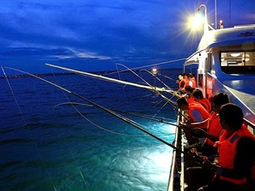 Câu mực đêm  Thông thường, tàu câu mực sẽ xuất phát lúc 5h chiều tại làng chài, rồi chạy 30 phút ra biển. Tàu sẽ dừng lại ở các điểm có nhiều mực để du khách trải nghiệm câu. Nếu may mắn câu được mực, khách có thể dùng để nấu cháo hoặc nướng rồi thưởng thức ngay trên thuyền. Hành trình của tour câu mực mất khoảng 4 tiếng. Một tour trọn gói gồm bữa tối, dụng cụ chuyên dụng… có giá khoảng 700.000 đồng mỗi người. Ảnh: Hoai Vu.