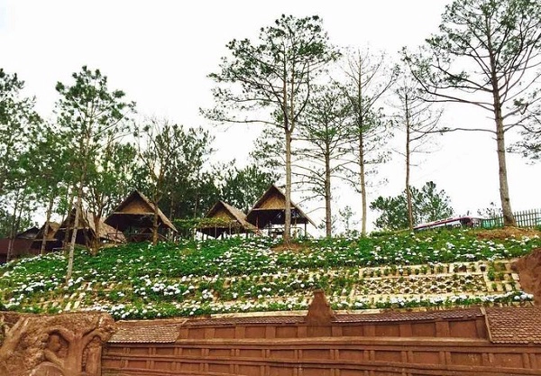 Làng đất sét Ít được biết đến hơn là khu vườn cẩm tú cầu nhỏ xinh trong Làng đất sét - Đường hầm điêu khắc. Hoa được trồng ở một số lối đi và khu vực tường đất sét, tạo thành một thảm hoa đầy màu sắc. Tại đây, các công trình kiến trúc và văn hóa độc đáo như ga xe lửa, dinh Bảo Đại, Viện Pasteur, Đại học Đà Lạt, Khách sạn Palace, nhà thờ Con Gà, chùa Linh Sơn, hồ Xuân Hương, chợ Đà Lạt... đều tái hiện công phu trên chất liệu đất sét. Ảnh: 199xkizz. Làng đất sét Ít được biết đến hơn là khu vườn cẩm tú cầu nhỏ xinh trong Làng đất sét - Đường hầm điêu khắc. Hoa được trồng ở một số lối đi và khu vực tường đất sét, tạo thành một thảm hoa đầy màu sắc. Tại đây, các công trình kiến trúc và văn hóa độc đáo như ga xe lửa, dinh Bảo Đại, Viện Pasteur, Đại học Đà Lạt, Khách sạn Palace, nhà thờ Con Gà, chùa Linh Sơn, hồ Xuân Hương, chợ Đà Lạt... đều tái hiện công phu trên chất liệu đất sét. Ảnh: 199xkizz.
