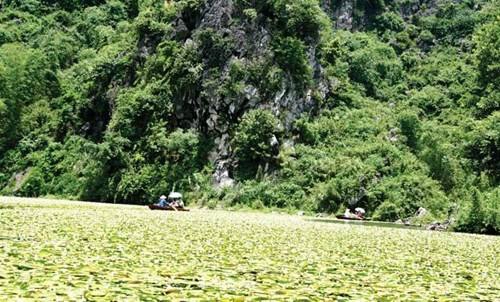 Du khách đi thuyền giữa hồ sen Quan Sơn. Du khách đi thuyền giữa hồ sen Quan Sơn.