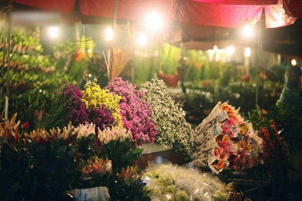 6-cho-hoa-tet-noi-tieng-cua-ha-noi-ivivu-3