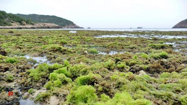 Ảnh: Panoramio Ảnh: Panoramio