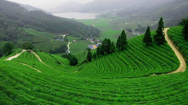 Ảnh: langchethainguyen Ảnh: langchethainguyen