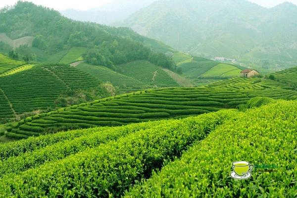 Tân Cương là một vùng đất bán sơn địa được thiên nhiên ban tặng cho một cảnh quan thiên nhiên thoáng đãng, thơ mộng và nên thơ. Ảnh: chethai Tân Cương là một vùng đất bán sơn địa được thiên nhiên ban tặng cho một cảnh quan thiên nhiên thoáng đãng, thơ mộng và nên thơ. Ảnh: chethai