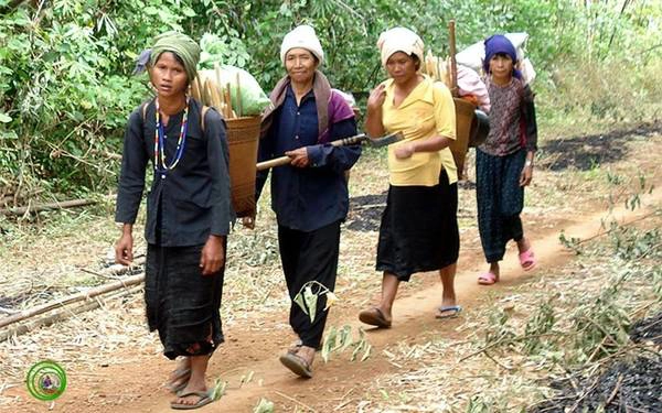 Lên rừng hái quả trong vườn Quốc gia Bù Gia Mập. Ảnh: Pmytrung/phượt. Lên rừng hái quả trong vườn Quốc gia Bù Gia Mập. Ảnh: Pmytrung/phượt.