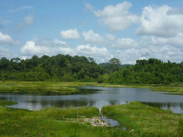 Đến Nam Cát Tiên, bạn nhớ ghé Bàu Sấu ngắm đàn cá sấu bơi lội đớp mồi. Ảnh: Phước Bình. Đến Nam Cát Tiên, bạn nhớ ghé Bàu Sấu ngắm đàn cá sấu bơi lội đớp mồi. Ảnh: Phước Bình.