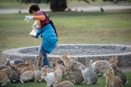 Okunoshima - Đảo Thỏ