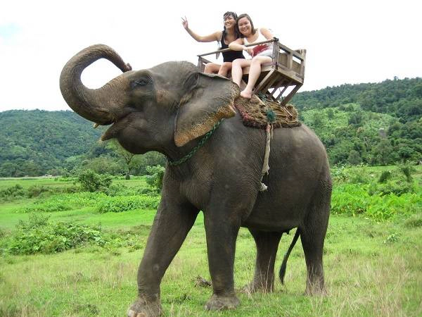 Cưỡi voi sẽ rất thú vị khi bạn hiểu rõ việc này không làm tổn hại đến chúng.